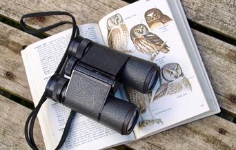 Binoculars and birdwatching guide